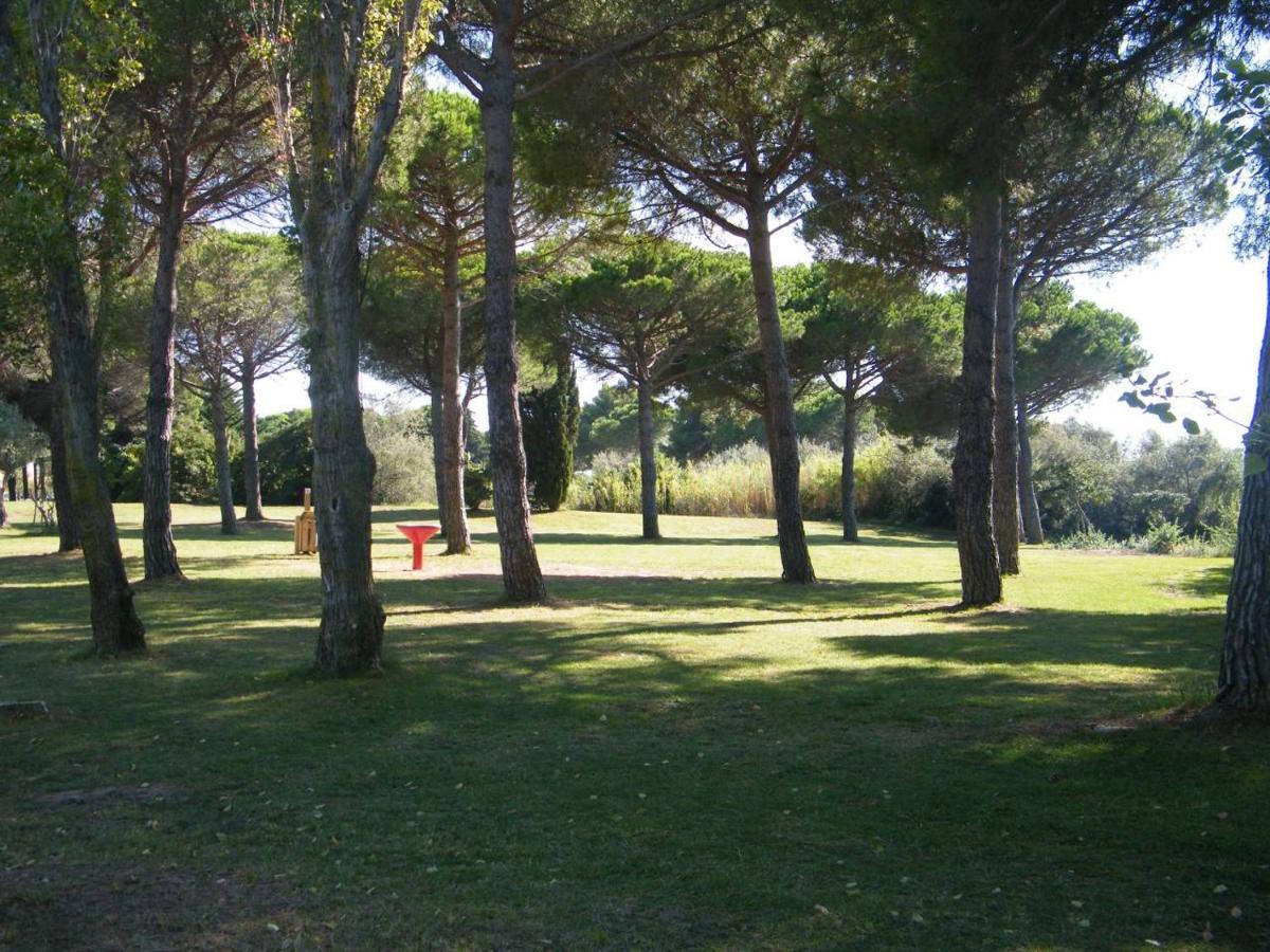 Studio Sur Le Port, Climatisation, Wifi, Piscine, Lave-Linge Gruissan Bagian luar foto